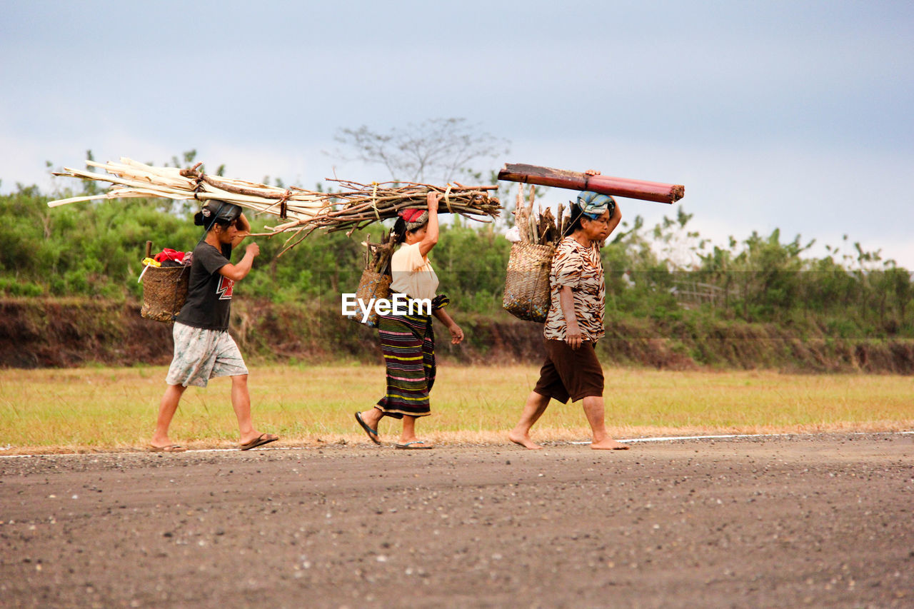 Side view of women carrying firewood while walking on land