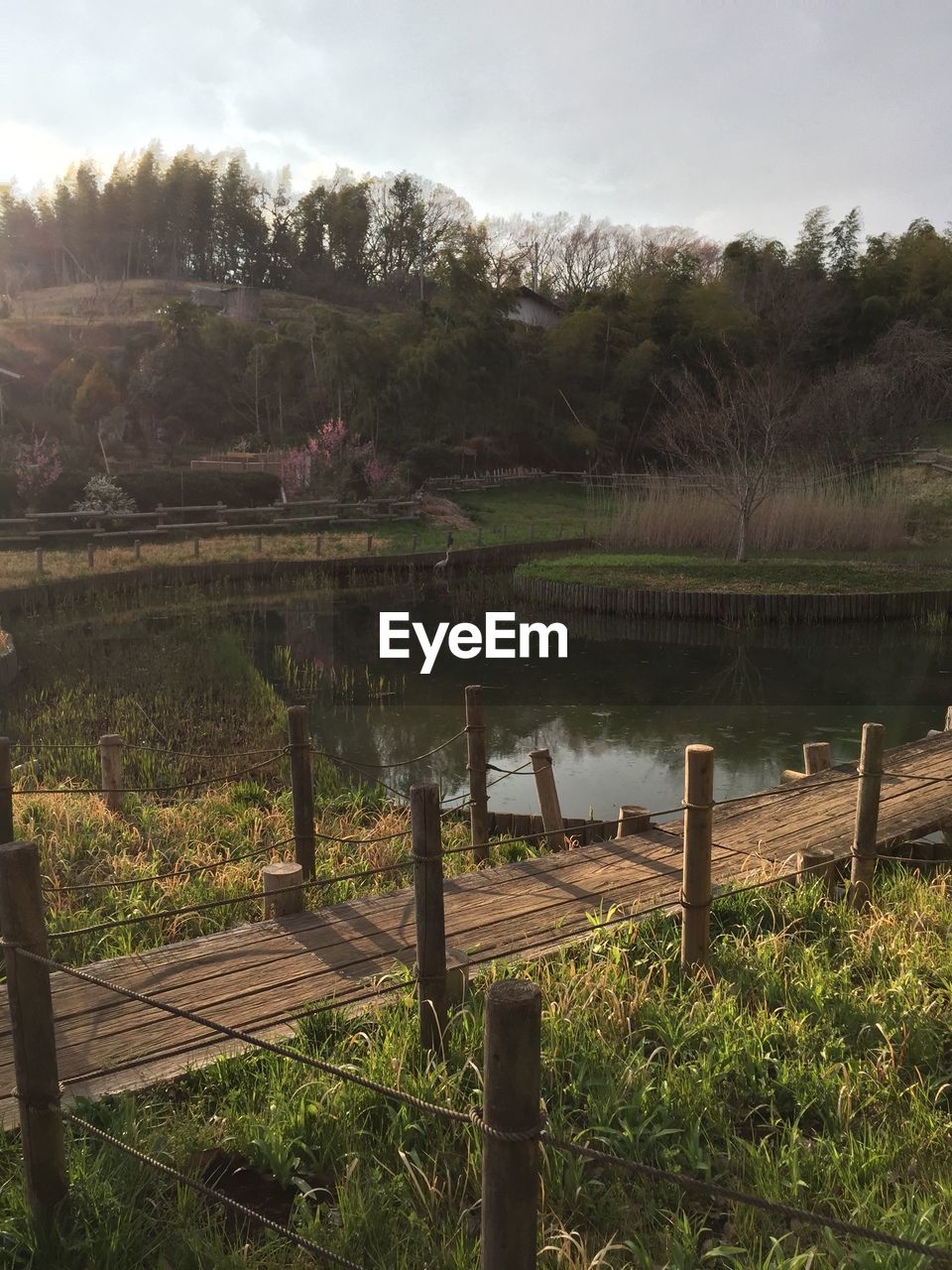 WOODEN POSTS IN LAKE