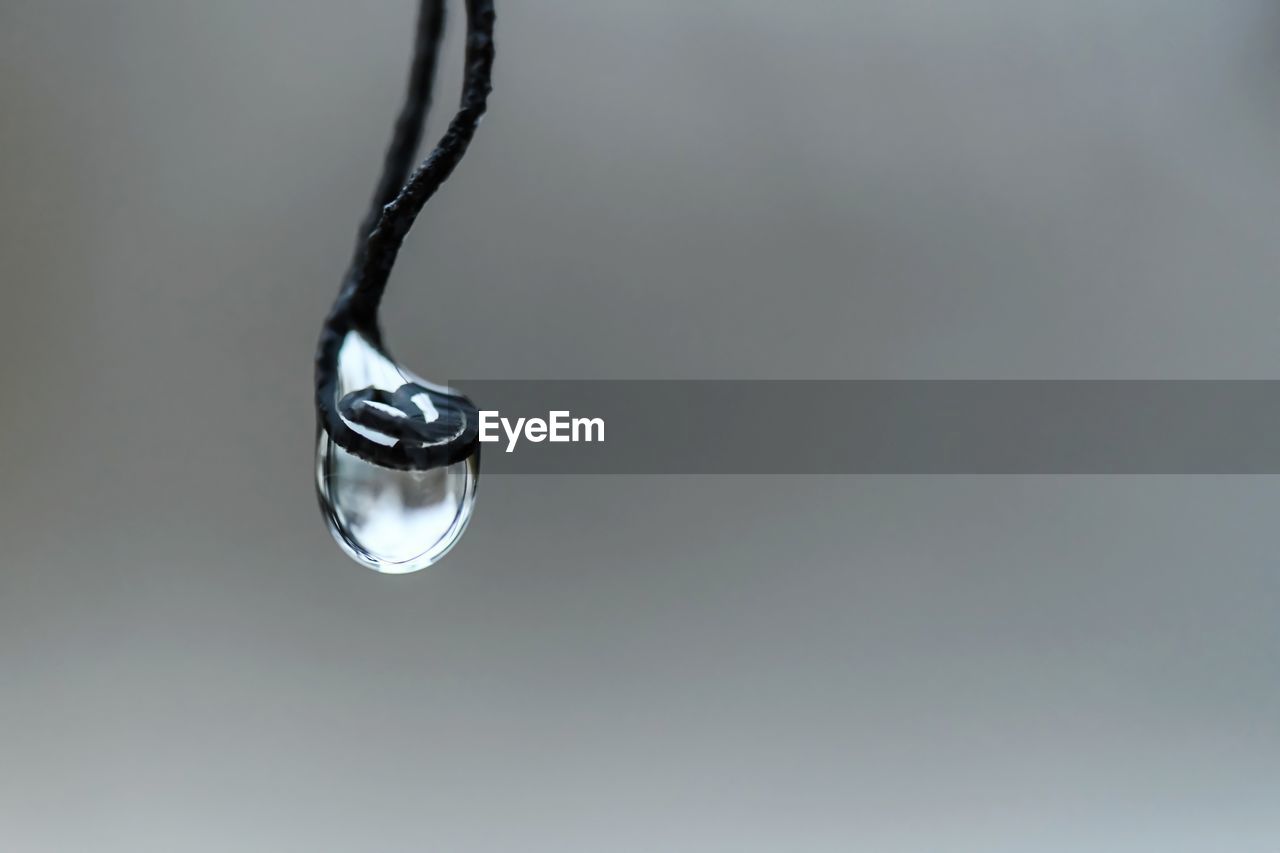 Water drop on barbed wire