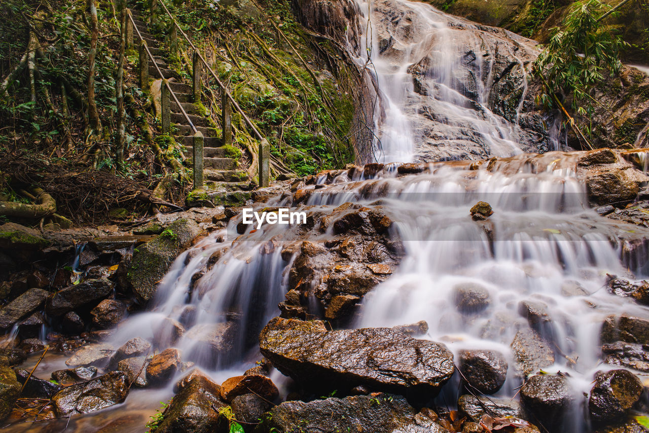 Scenic view of waterfall in forest