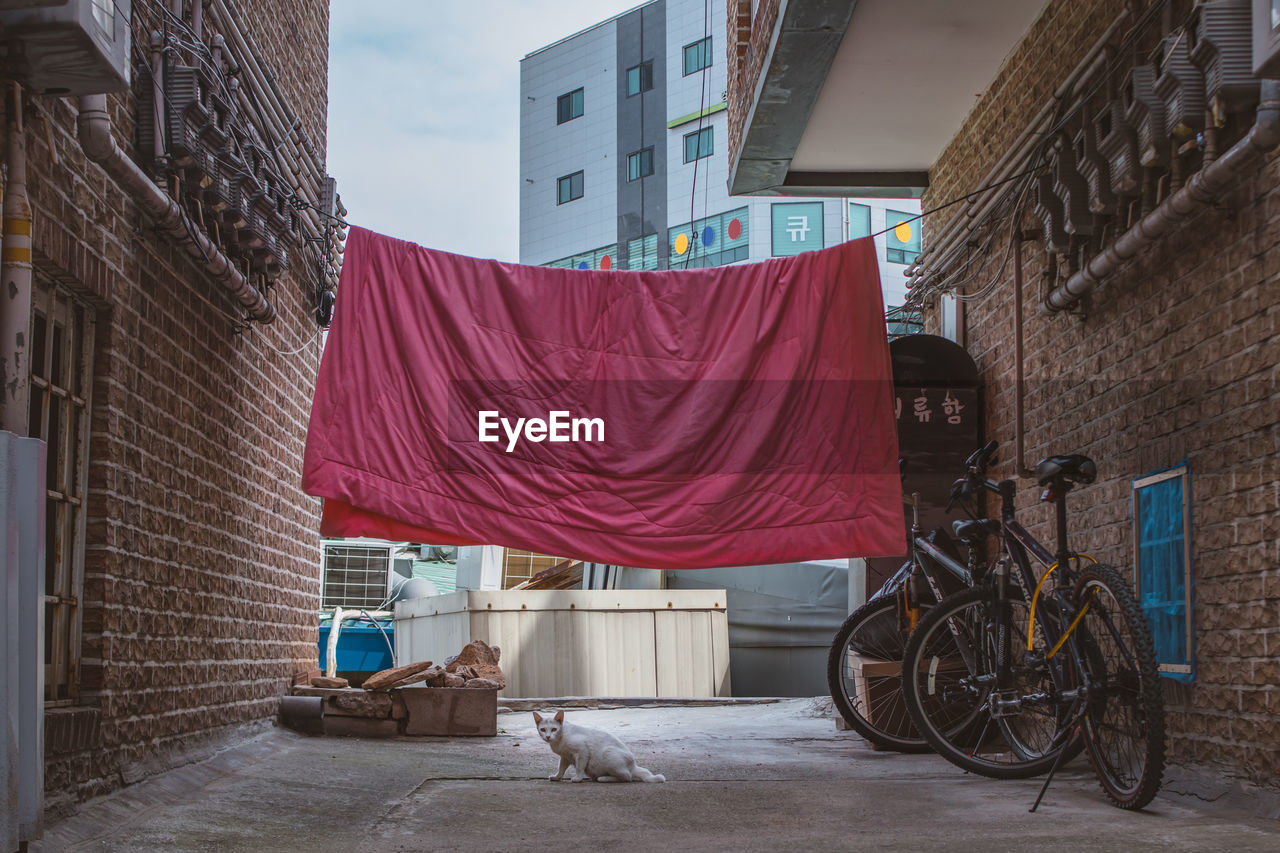 BICYCLE ON STREET AMIDST BUILDINGS