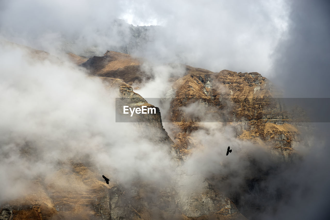 Panoramic view of mountains and clods with blackbird against sky