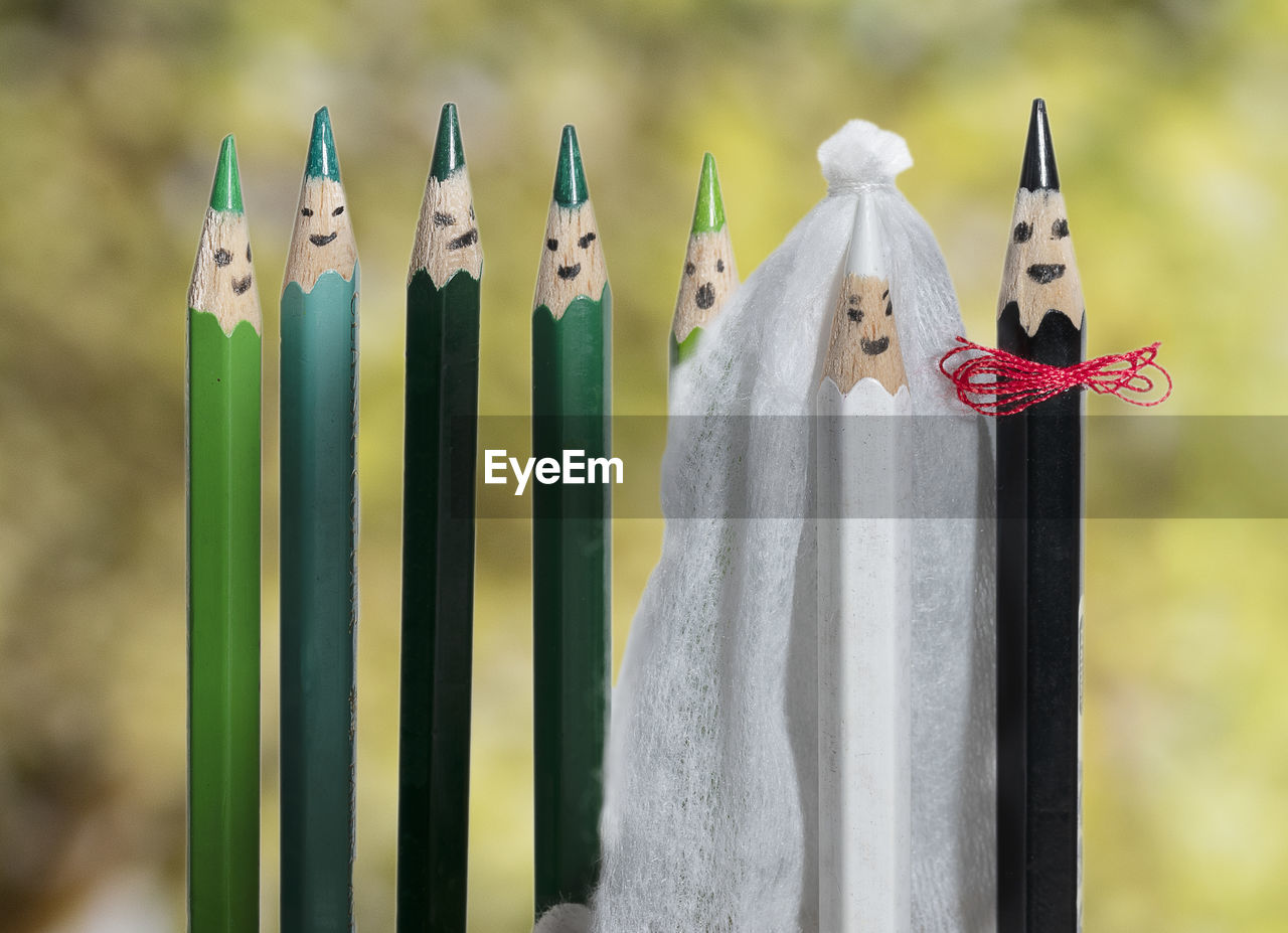 My pencils wedding party