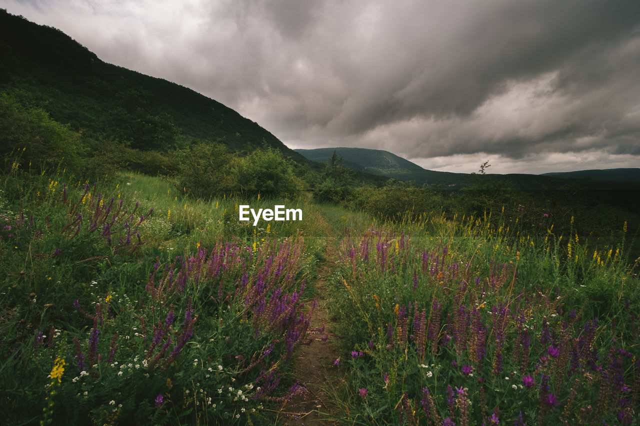 Scenic view of grassy field against cloudy sky