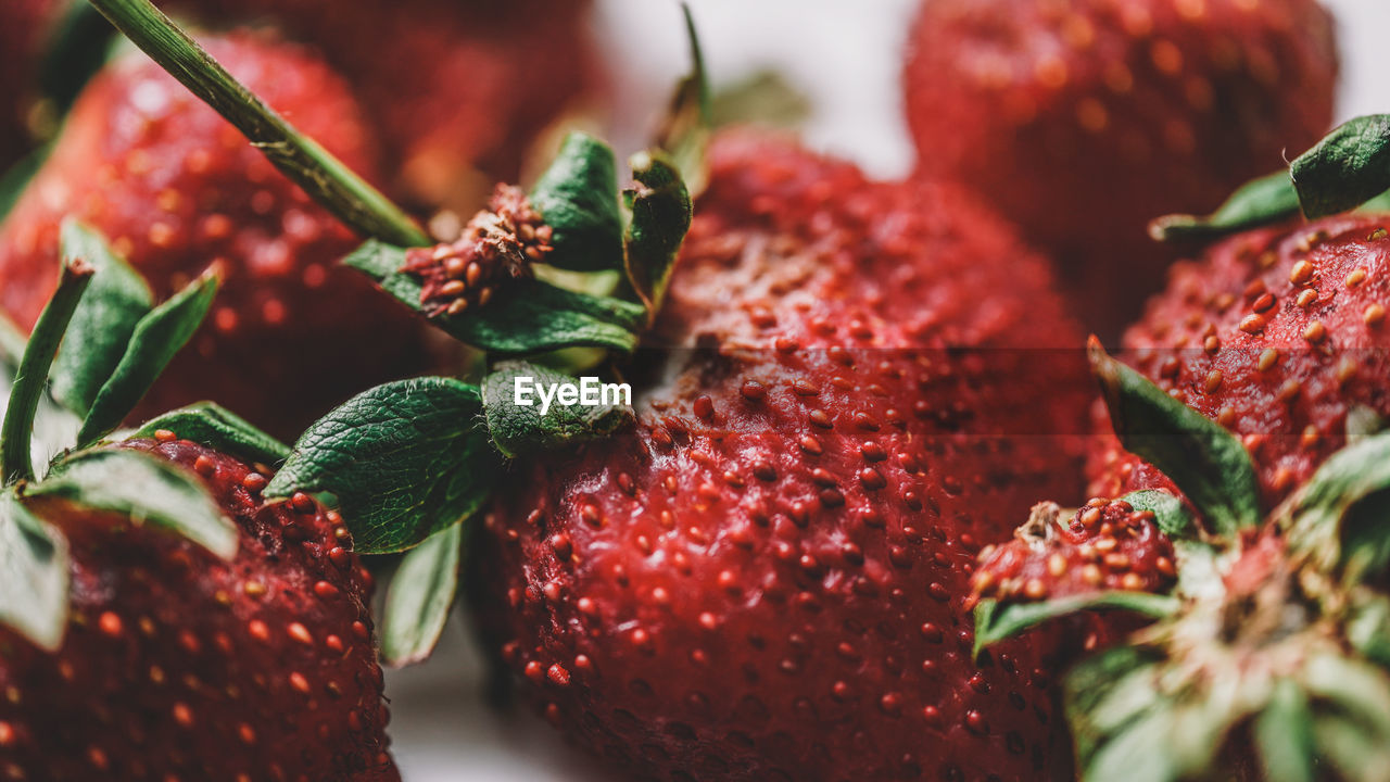 CLOSE-UP OF STRAWBERRY