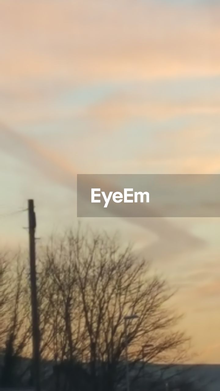 BARE TREE AGAINST SKY DURING SUNSET