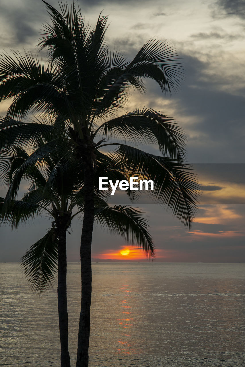 sky, tropical climate, palm tree, tree, sunset, water, sea, nature, beauty in nature, cloud, beach, plant, tranquility, scenics - nature, land, horizon over water, tranquil scene, silhouette, idyllic, coconut palm tree, ocean, travel destinations, holiday, tropical tree, vacation, outdoors, sun, trip, no people, horizon, dramatic sky, island, environment, travel, dusk, sunlight, coast, seascape, back lit, leaf, cloudscape, palm leaf