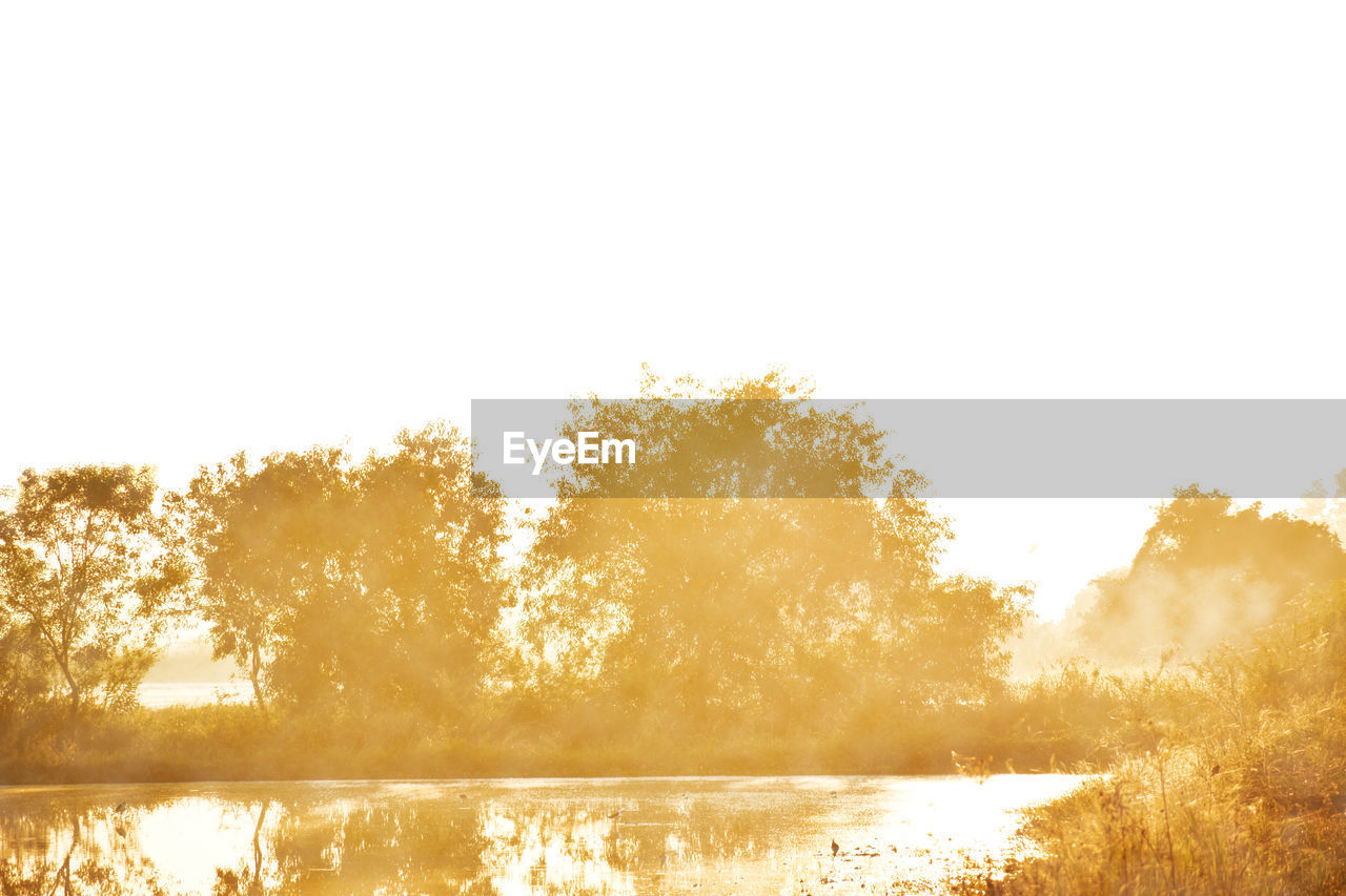 LAKE BY TREES AGAINST CLEAR SKY