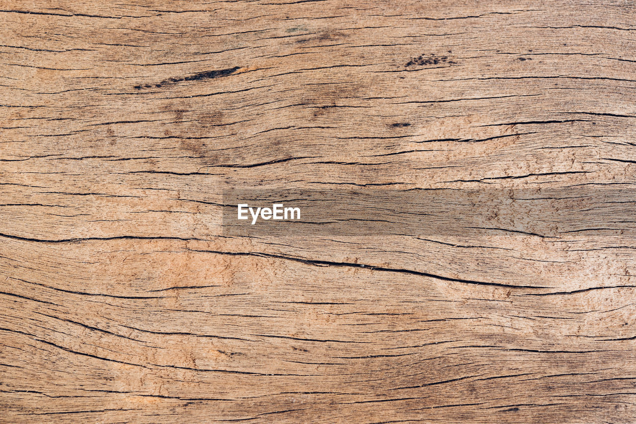 CLOSE-UP OF WEATHERED WOODEN PLANK