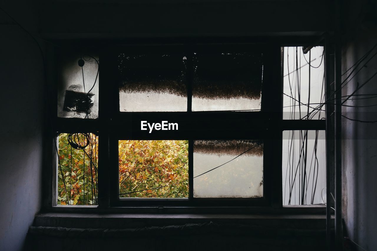 window, light, indoors, no people, glass, lighting, architecture, house, interior design, darkness, nature, day, wall, built structure, building, plant, abandoned, transparent, home interior, black, dark