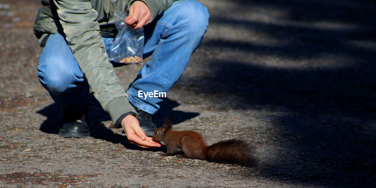 Hand is feeding a squirrel at the biggest park of sofia, bulgaria