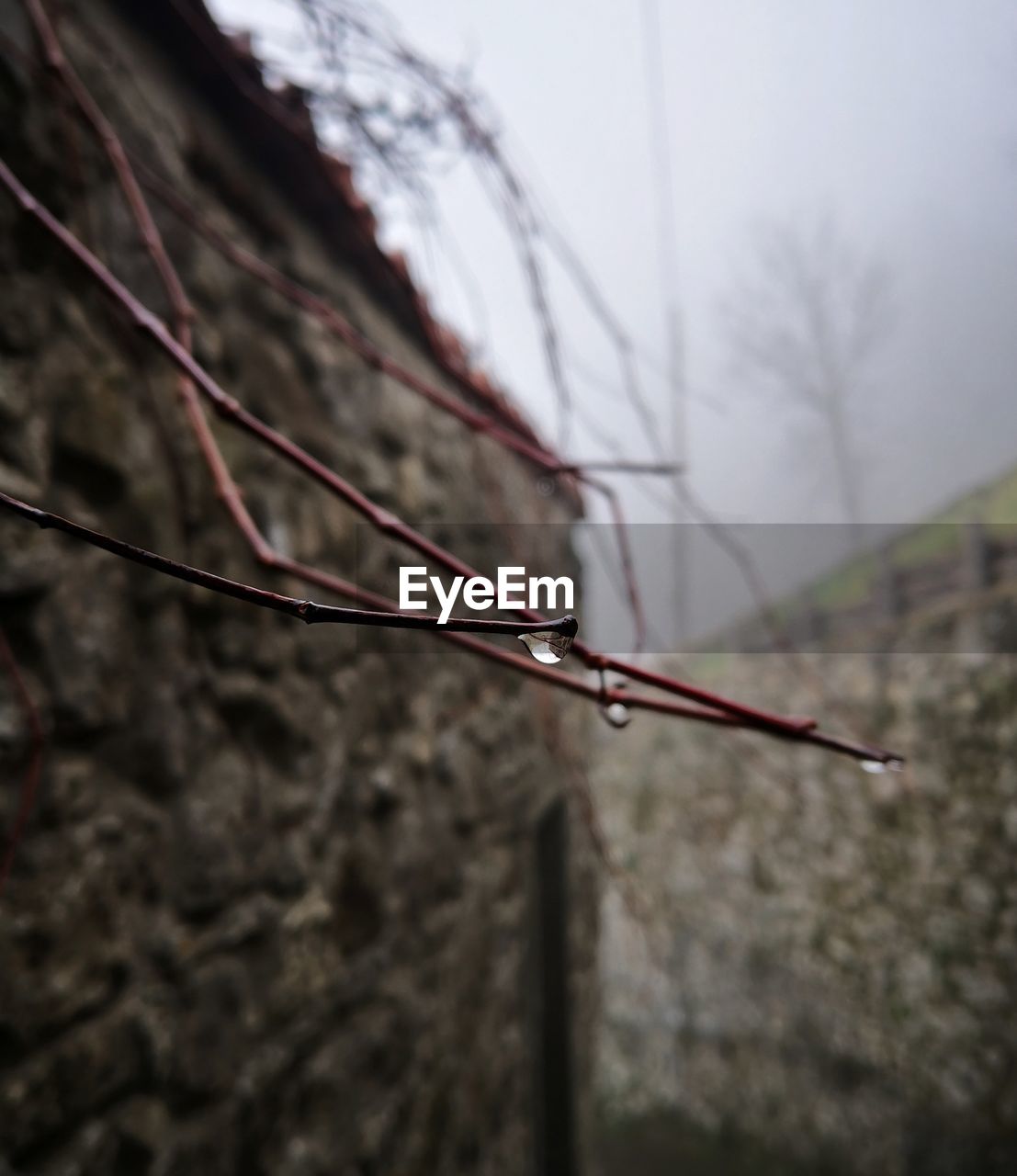 CLOSE-UP OF ROPE ON WALL