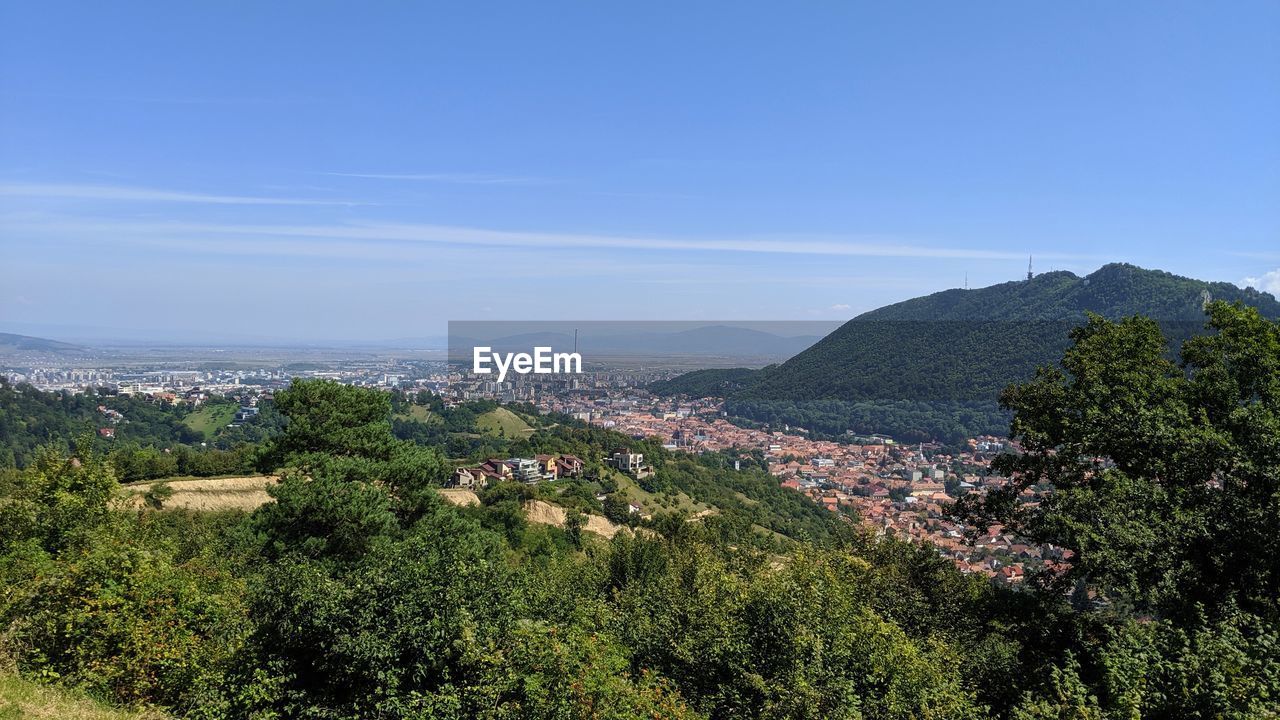 HIGH ANGLE VIEW OF TOWNSCAPE BY TREE AGAINST SKY