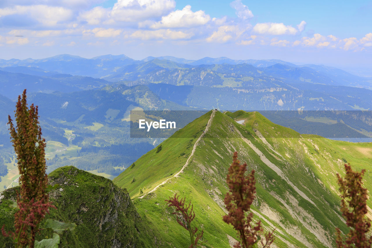 Panoramic view of green landscape against sky