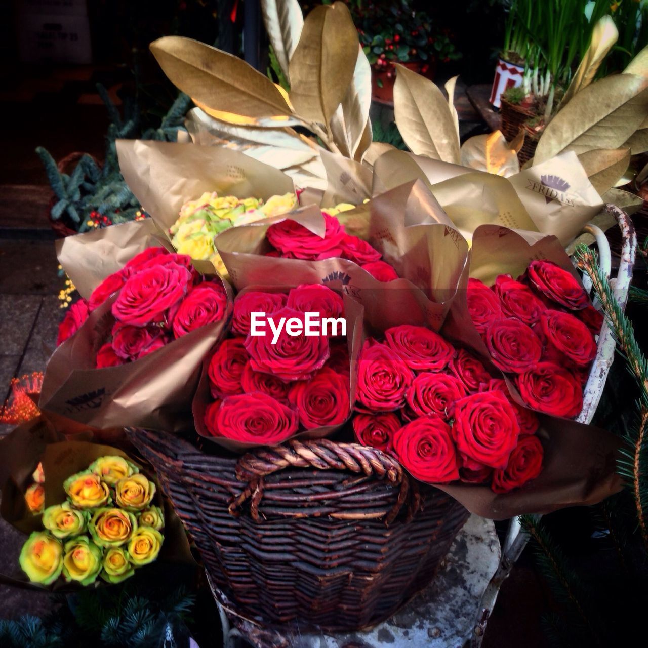 HIGH ANGLE VIEW OF FLOWERS IN MARKET