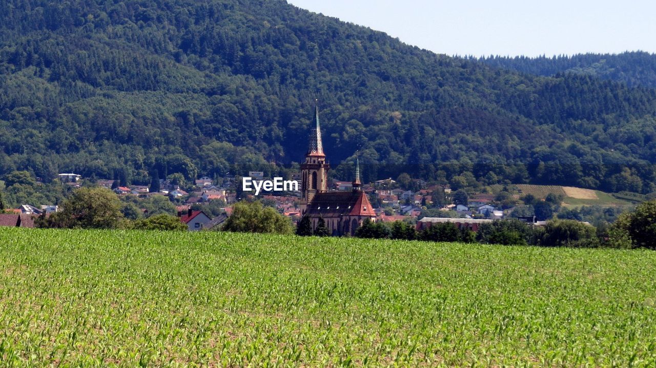 VIEW OF TEMPLE ON LANDSCAPE