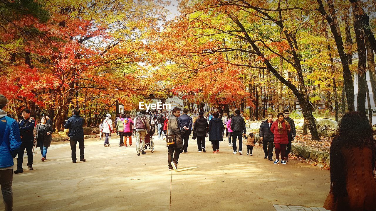 GROUP OF PEOPLE AT PARK DURING AUTUMN