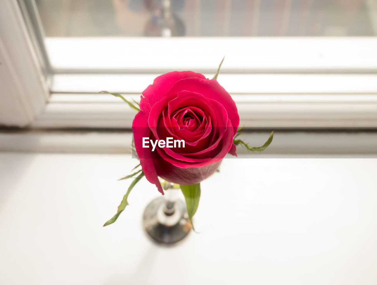 HIGH ANGLE VIEW OF ROSE BOUQUET ON RED ROSES