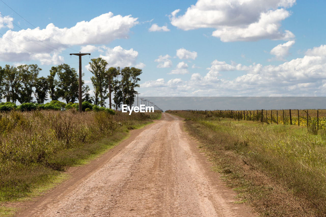 DIRT ROAD ALONG LANDSCAPE