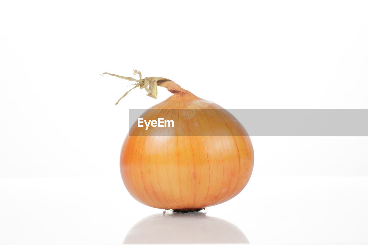 CLOSE-UP OF PUMPKIN ON WHITE BACKGROUND