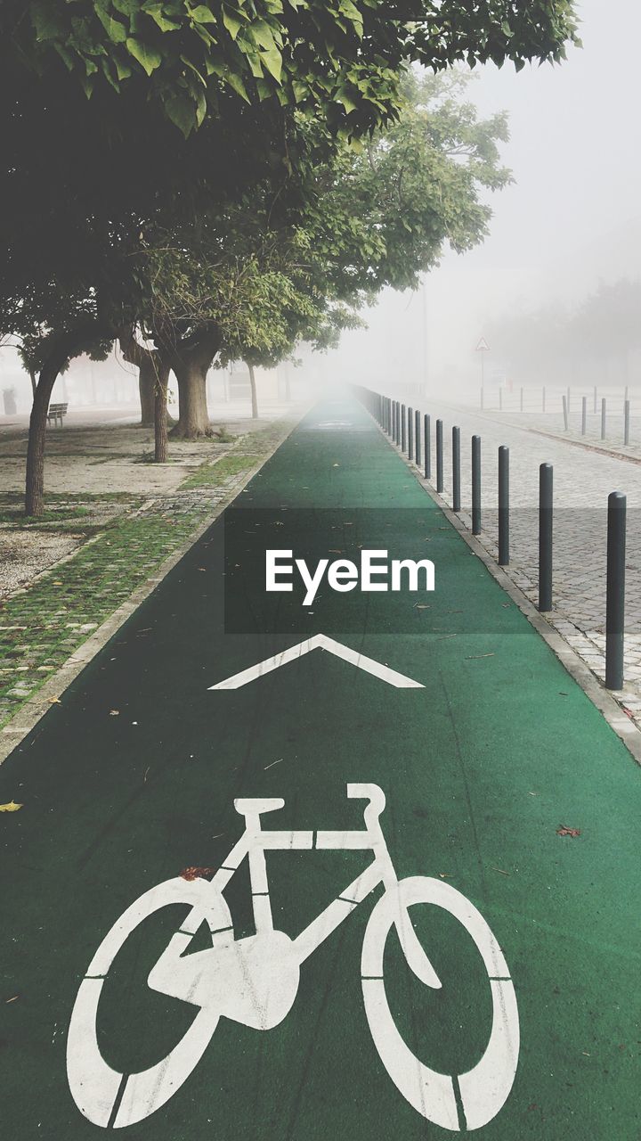 High angle view of bicycle lane in park during foggy weather