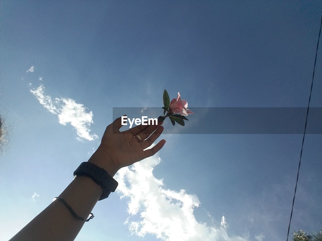 My hand and my flower 