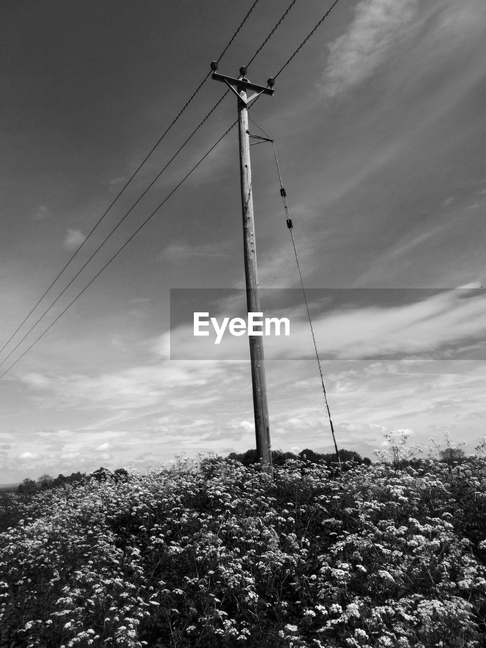 LOW ANGLE VIEW OF POWER LINE AGAINST SKY