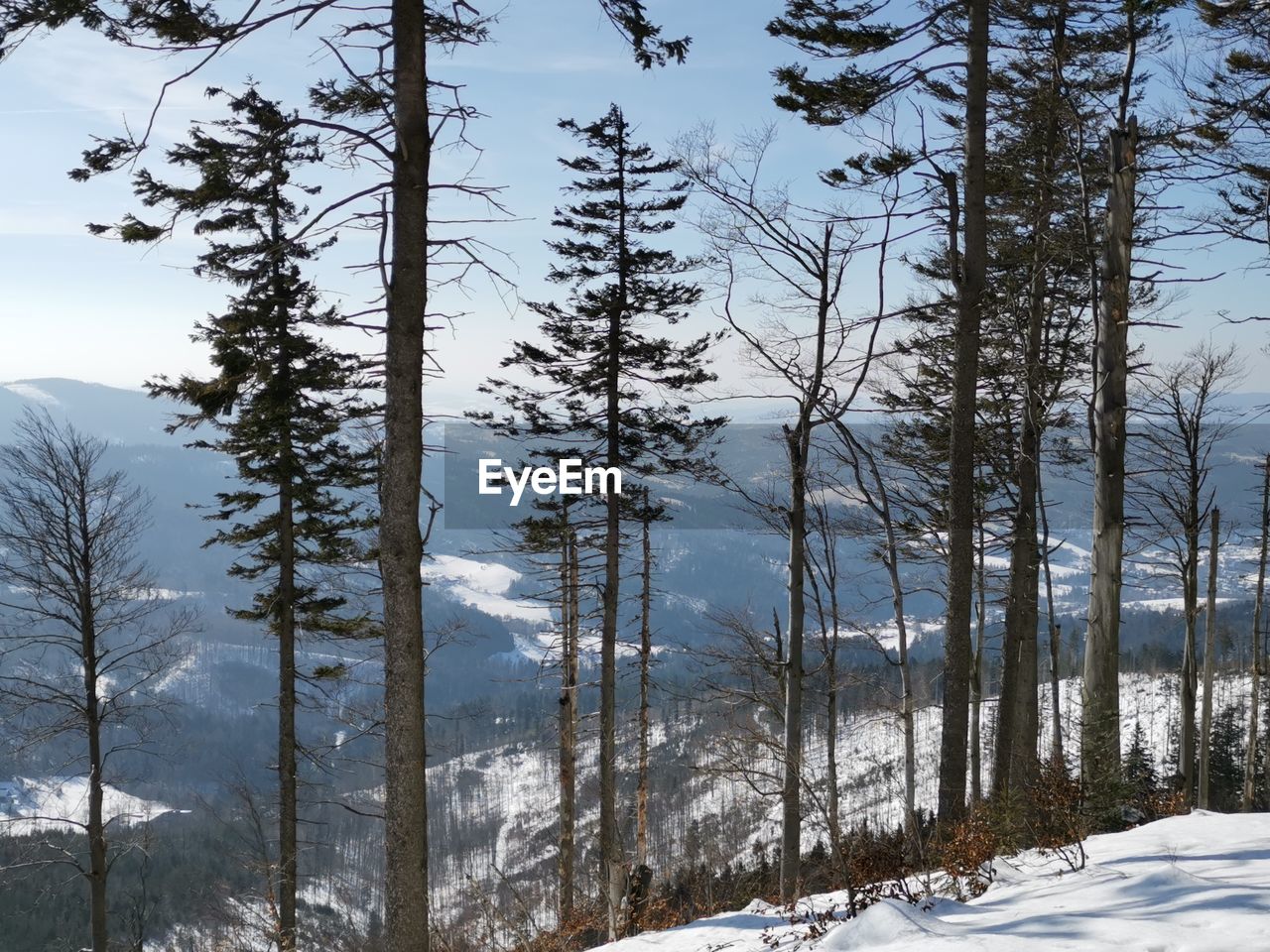 Snow covered mountains during winter