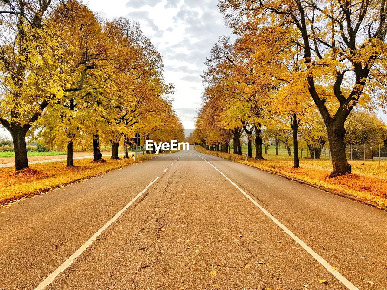 Empty road along trees during autumn