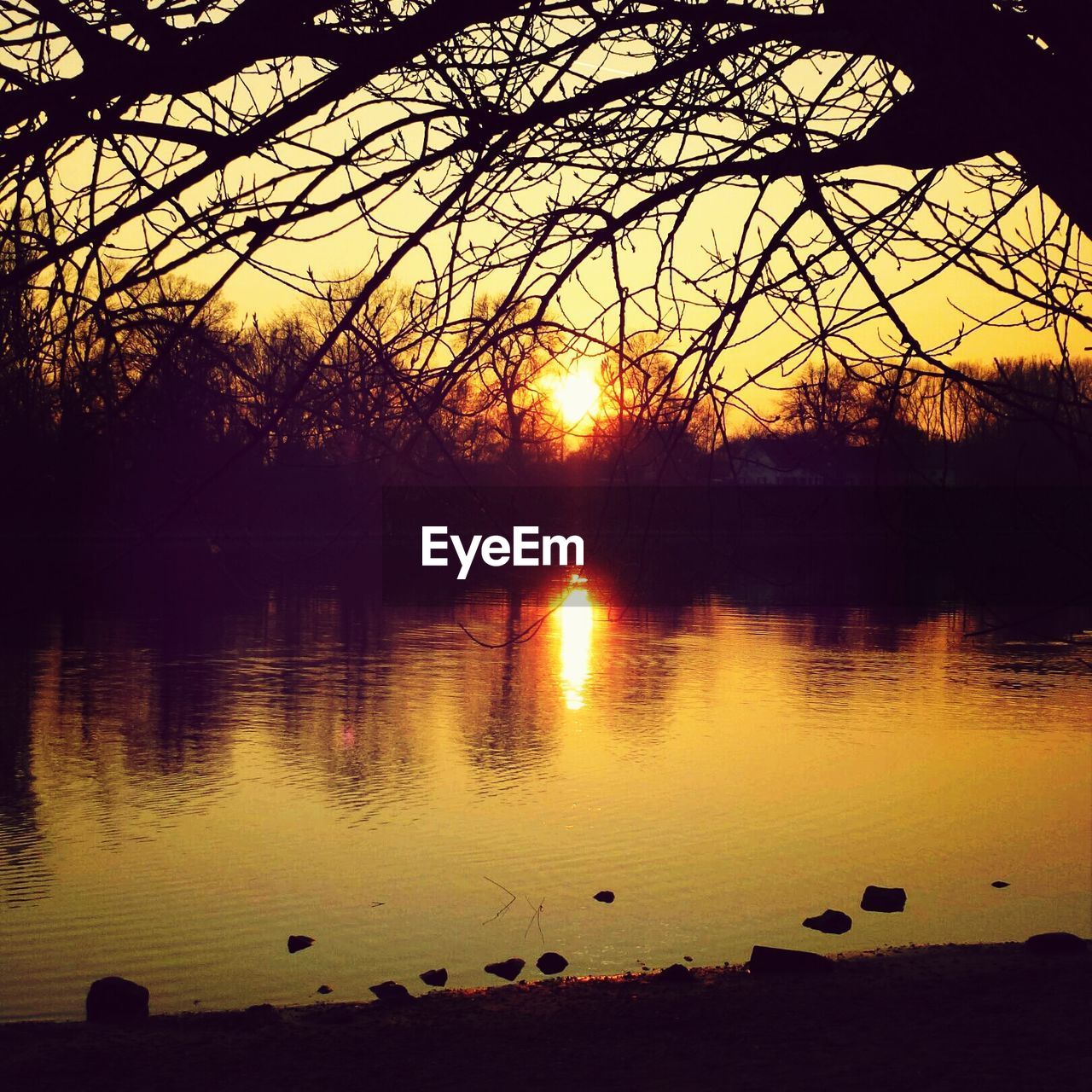 Reflection of sunset and bare trees in lake