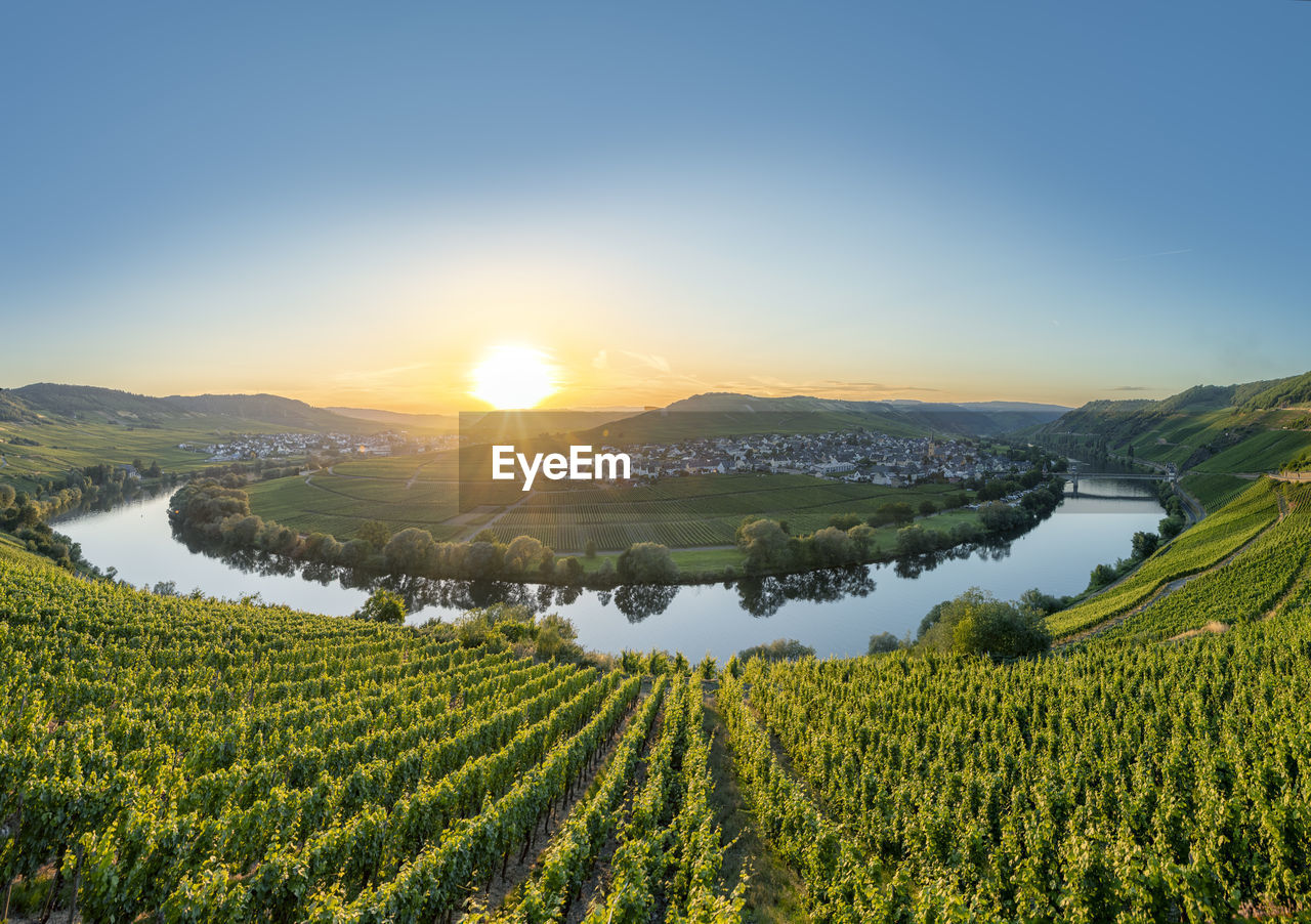 Scenic moselle river loop at leiwen, trittenheim in germany