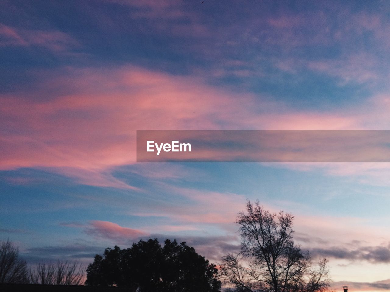 Low angle view of trees against cloudy sky