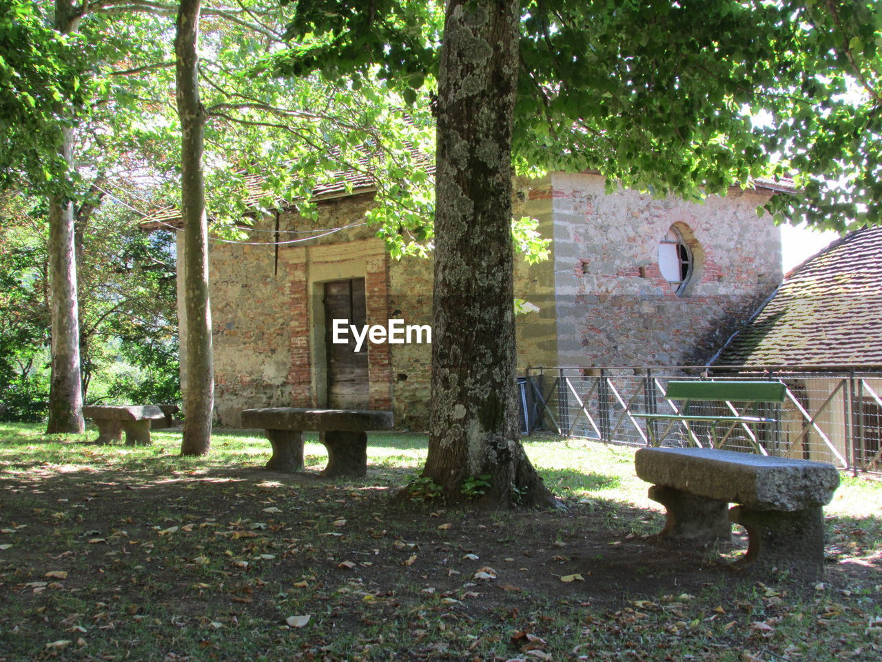 Stone bench by trees