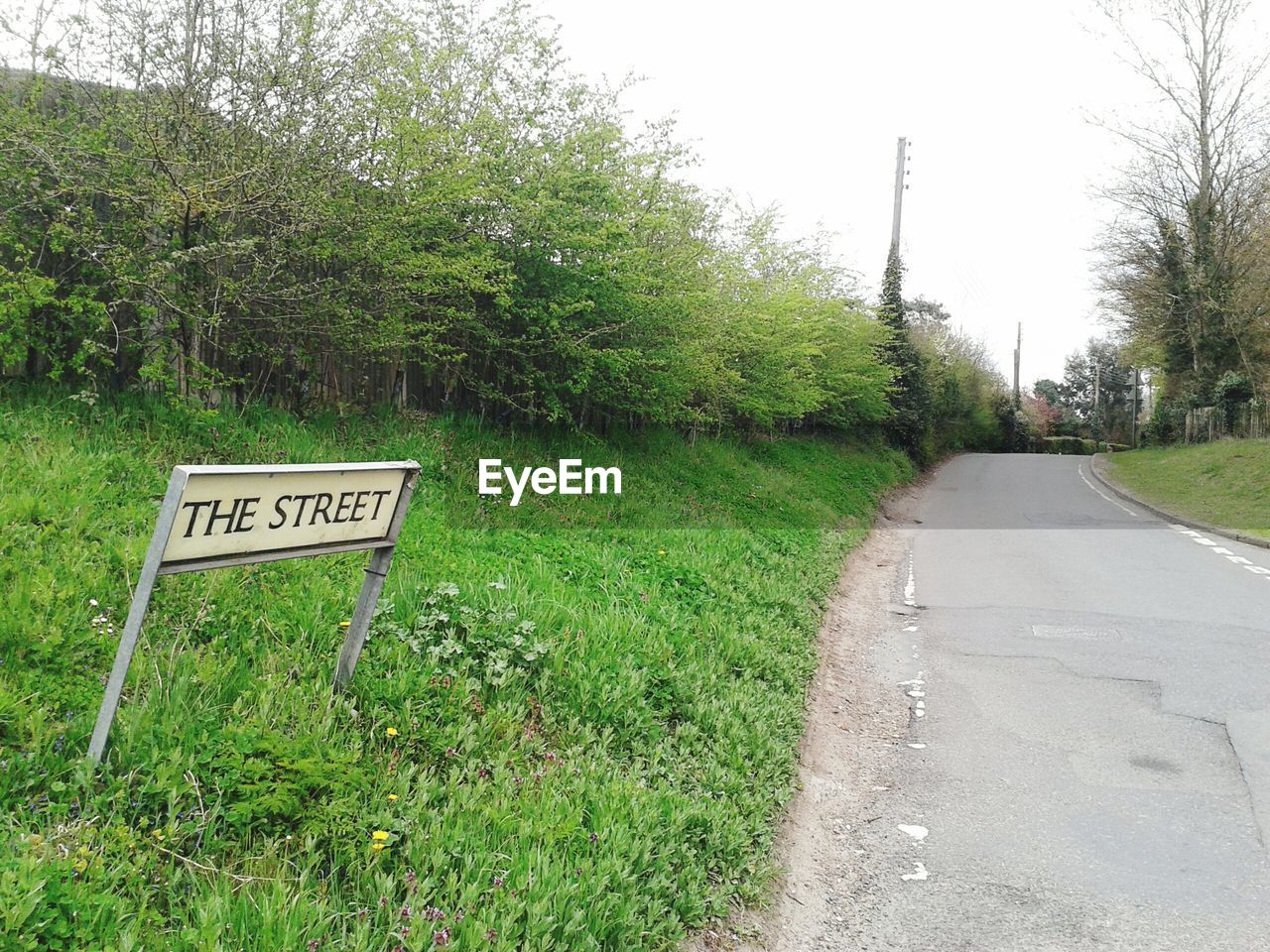 ROAD LEADING TOWARDS GRASSY FIELD