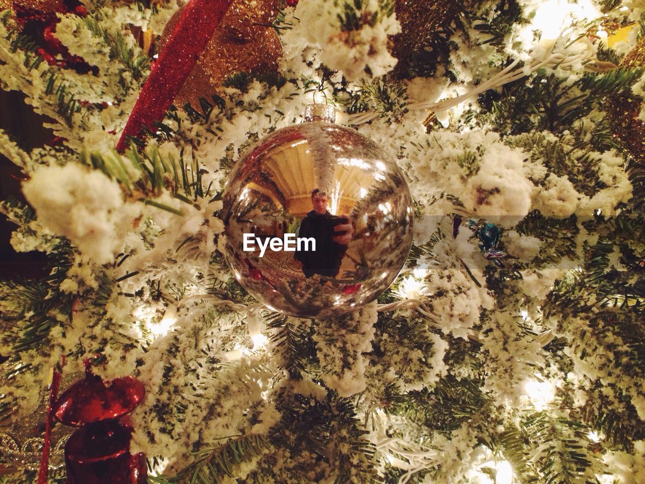 LOW ANGLE VIEW OF DECORATED CHRISTMAS TREE