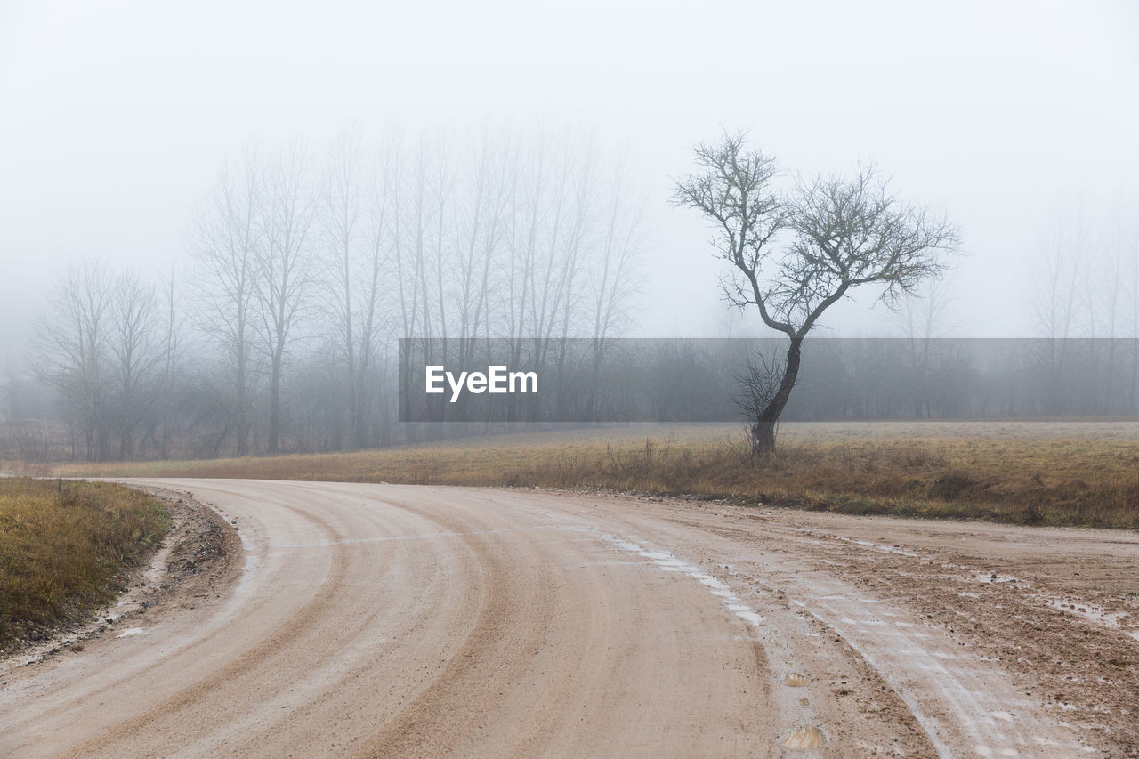 DIRT ROAD ALONG BARE TREES AND LAND