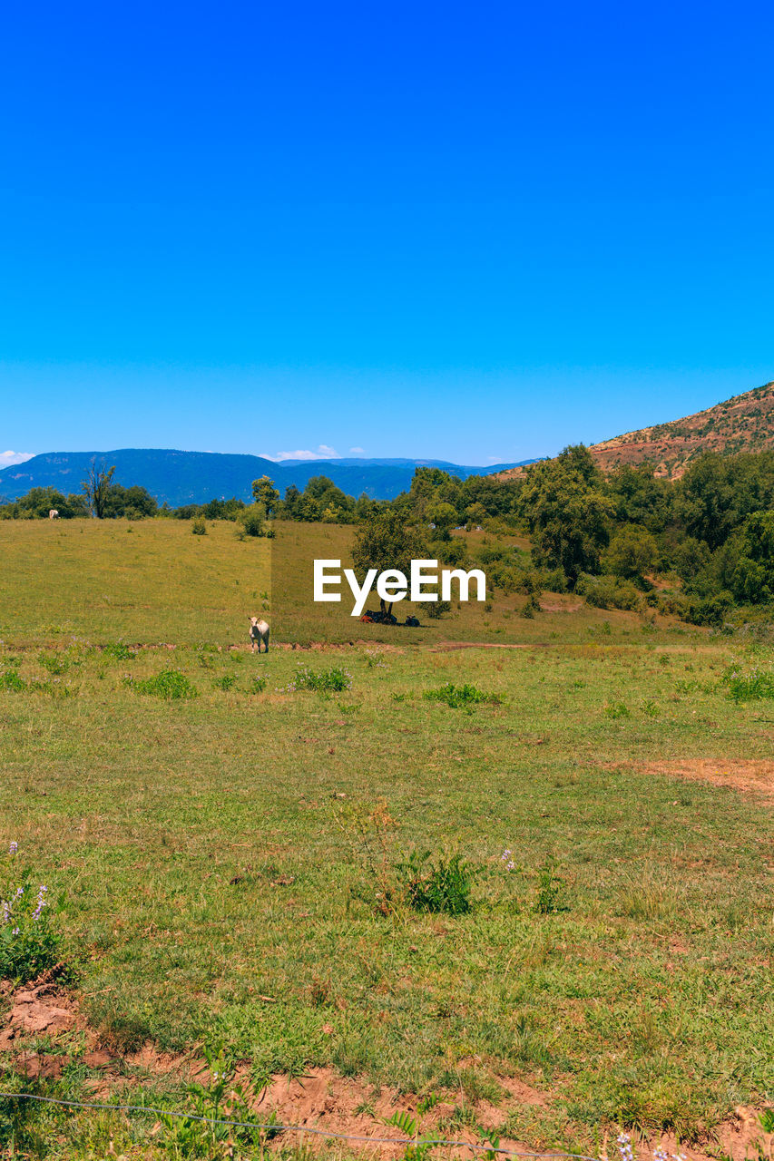 VIEW OF LANDSCAPE AGAINST SKY