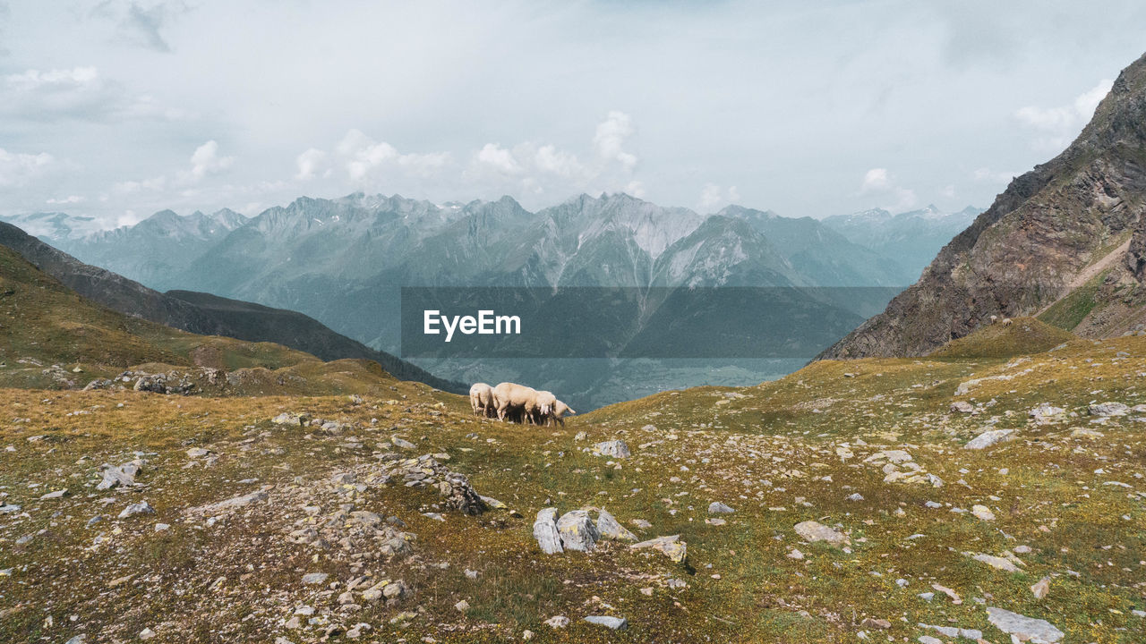 View of a mountain range