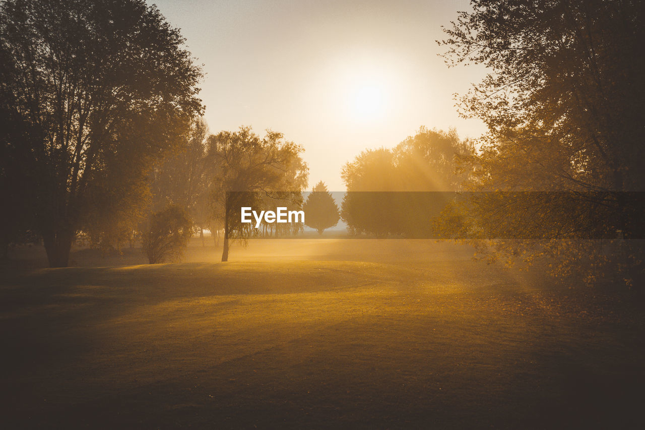 SUNLIGHT STREAMING THROUGH TREES ON LANDSCAPE AGAINST SKY