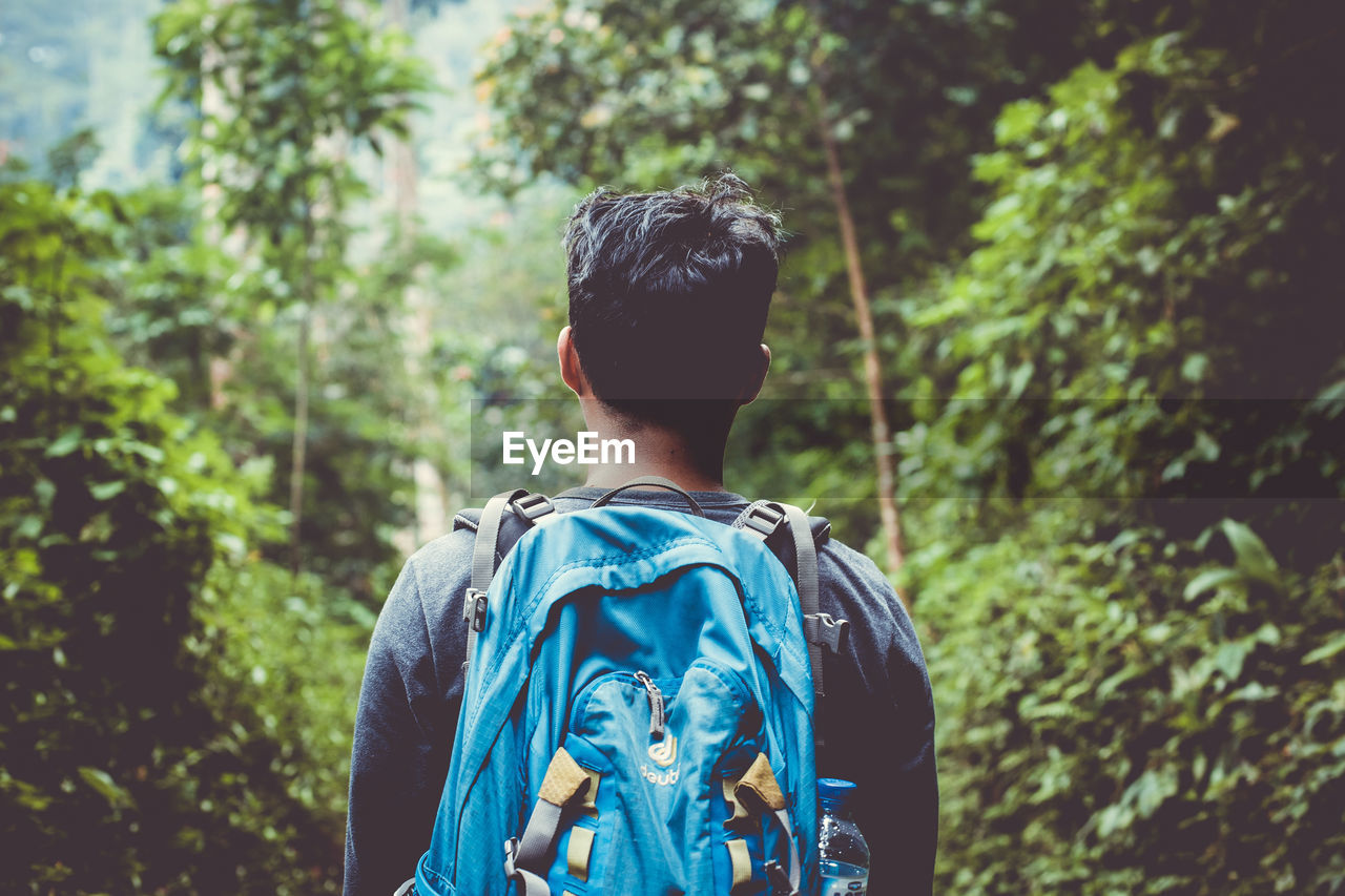 REAR VIEW OF MAN LOOKING AT TREES