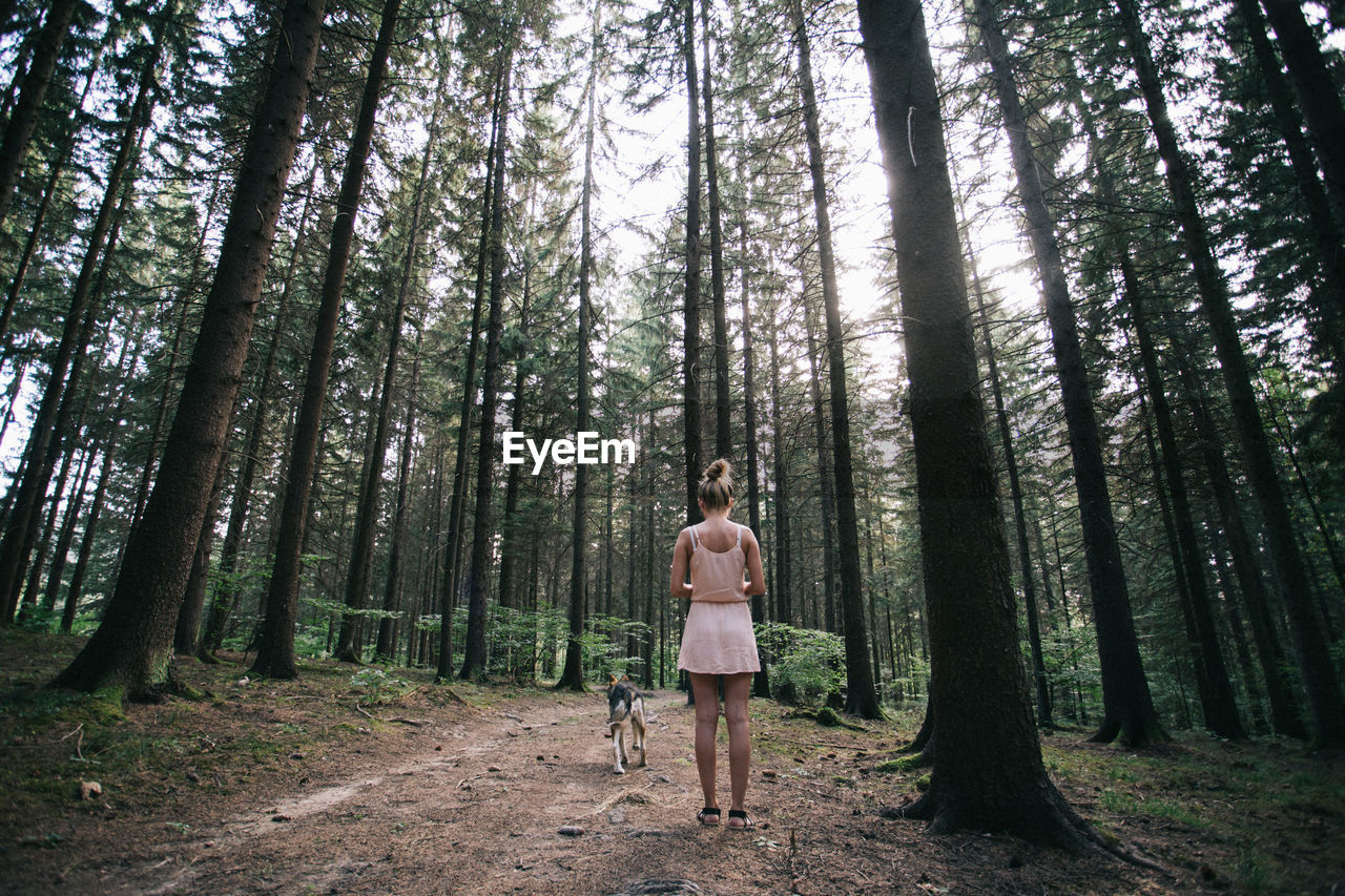 Rear view of woman with dog standing in forest