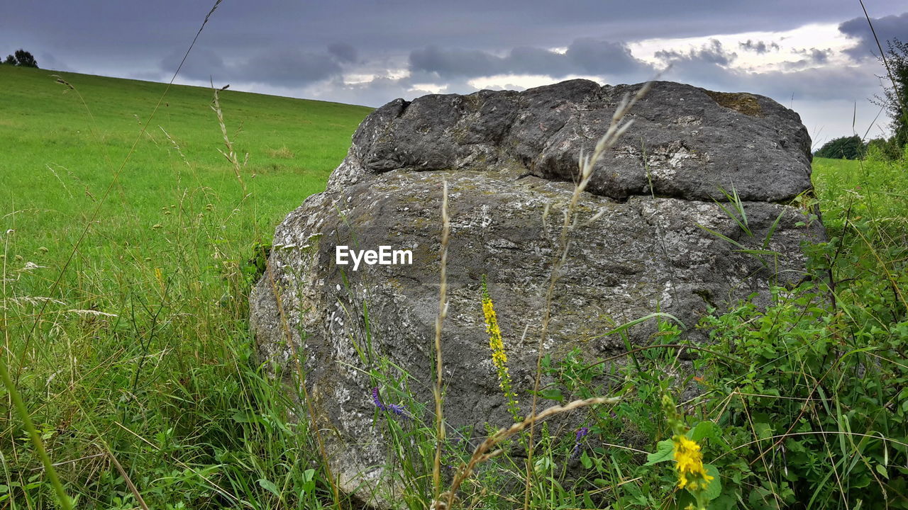 Rock in field