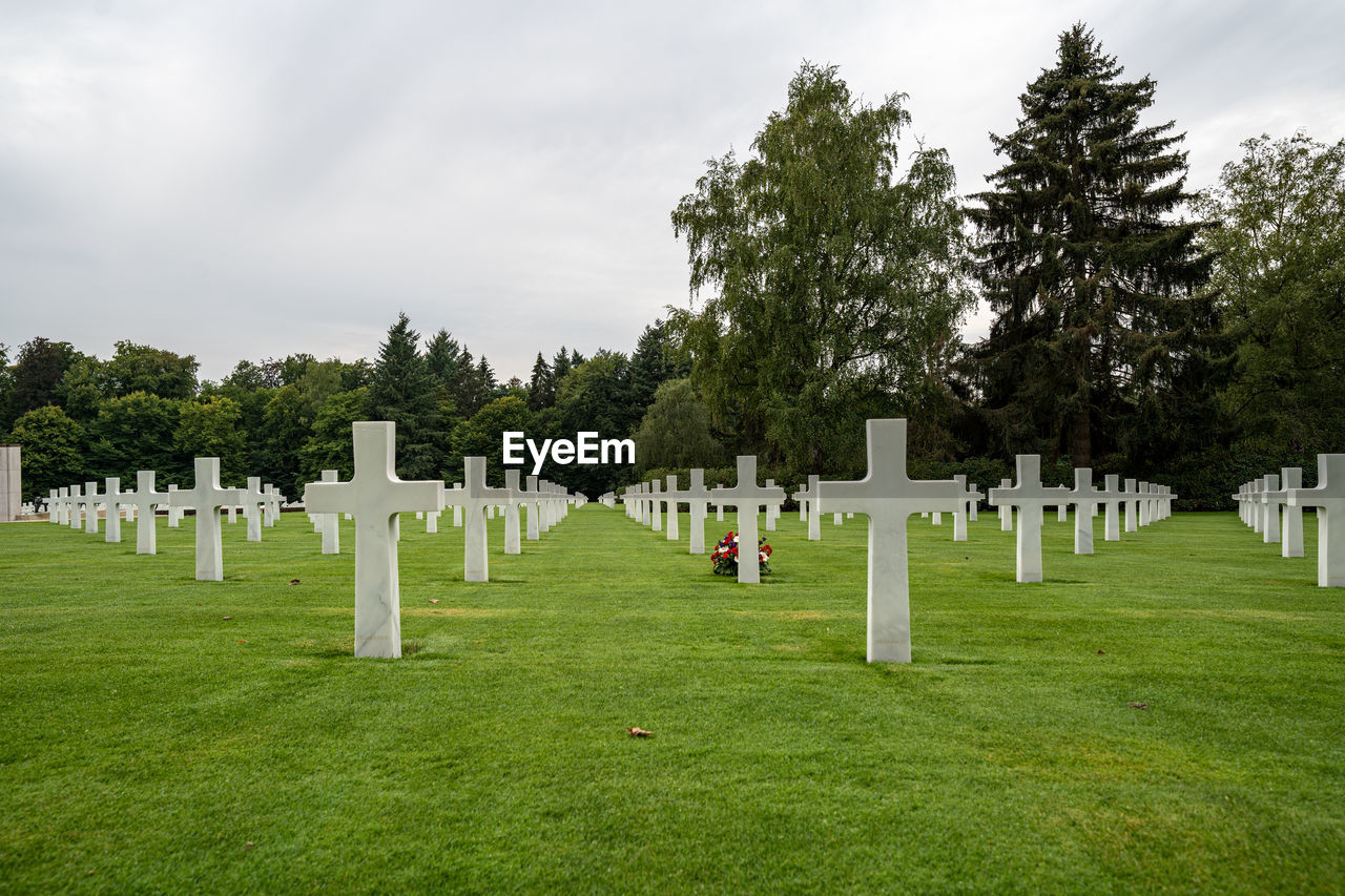 scenic view of grassy field against sky