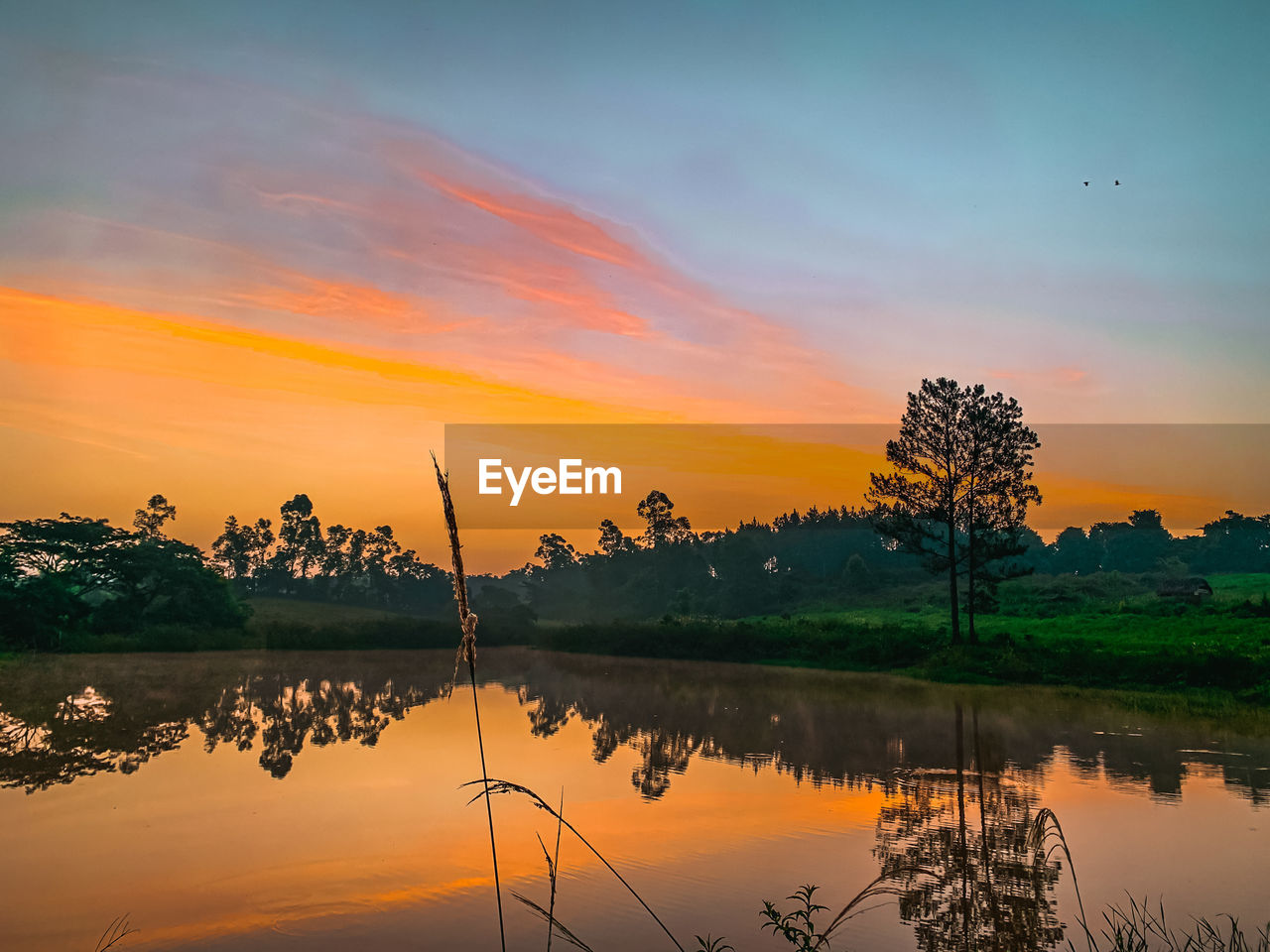 reflection, water, sky, sunset, beauty in nature, environment, nature, landscape, scenics - nature, lake, tranquility, dawn, tree, plant, sun, cloud, orange color, tranquil scene, evening, twilight, afterglow, travel, multi colored, no people, travel destinations, land, outdoors, silhouette, rural scene, idyllic, social issues, reflection lake, non-urban scene, forest, tourism, horizon, sunlight, igniting, fishing, summer, activity, fog, red