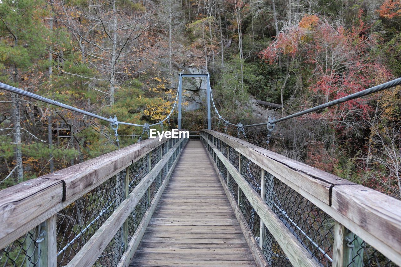 Footbridge in forest during autumn