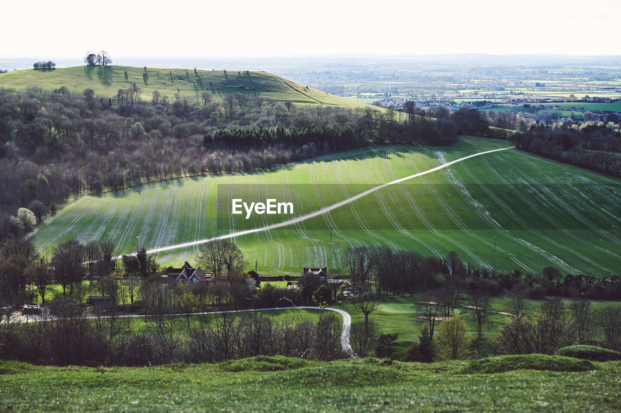 Scenic view of agricultural field against sky