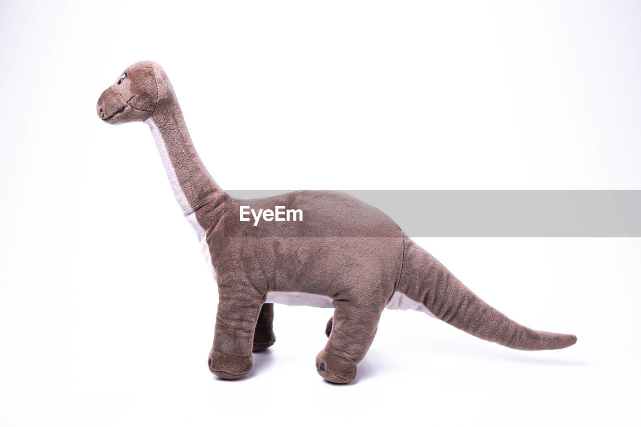 SIDE VIEW OF ELEPHANT