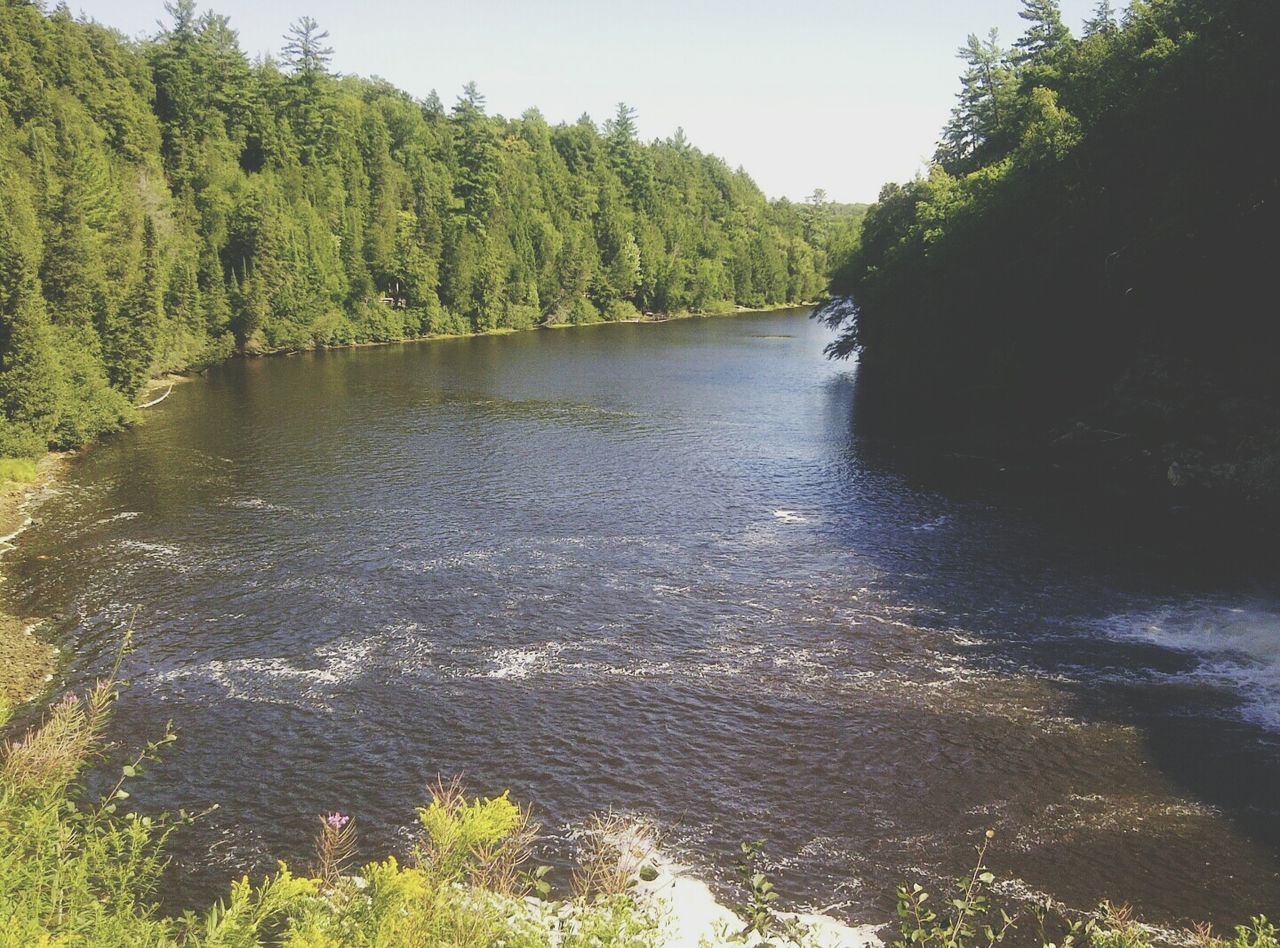 SCENIC VIEW OF RIVER WITH TREES IN BACKGROUND