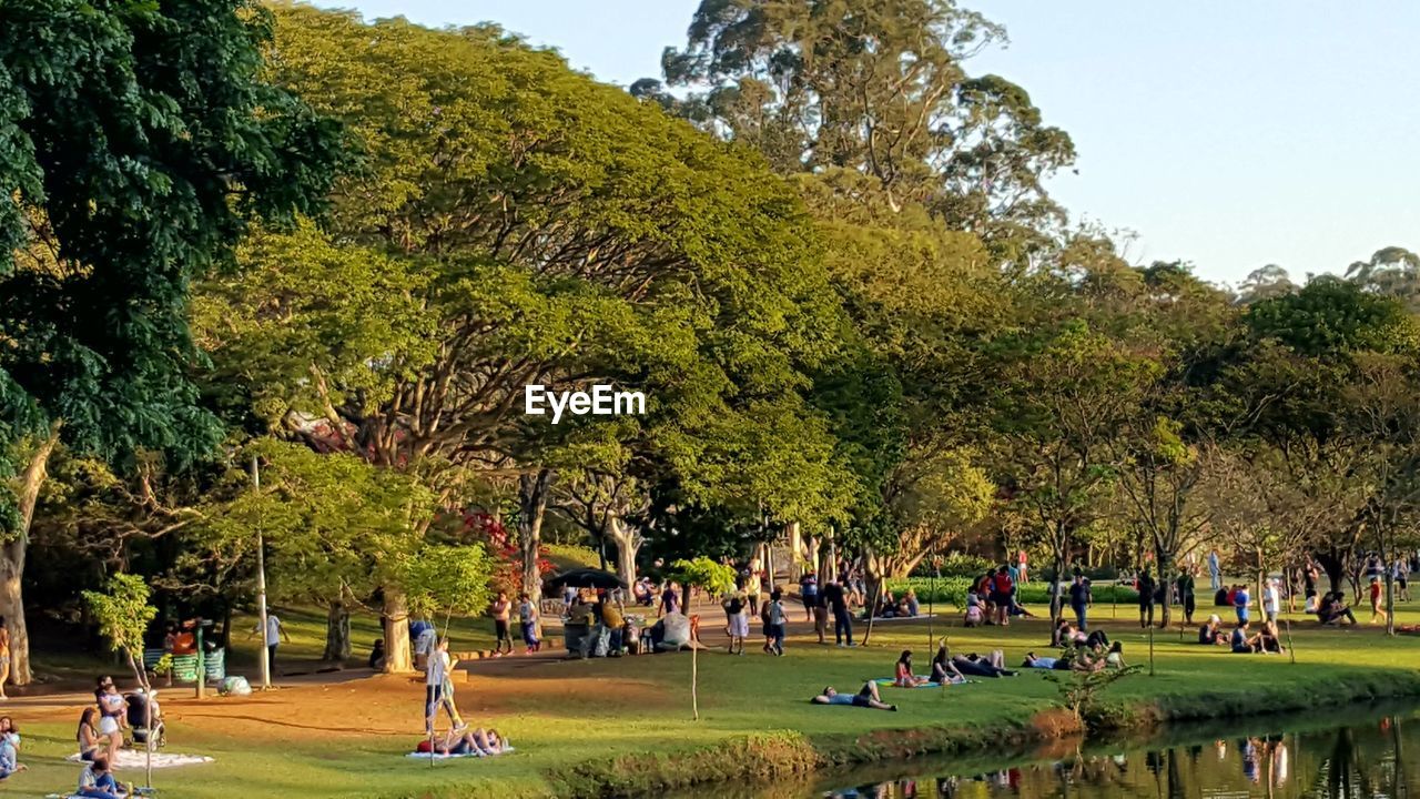 People enjoying at public park