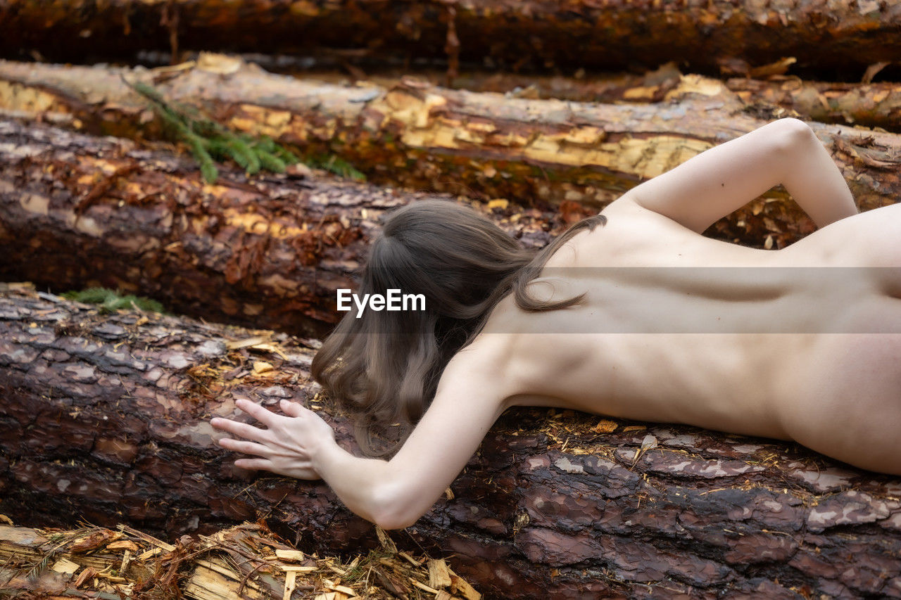 low section of woman relaxing on tree trunk